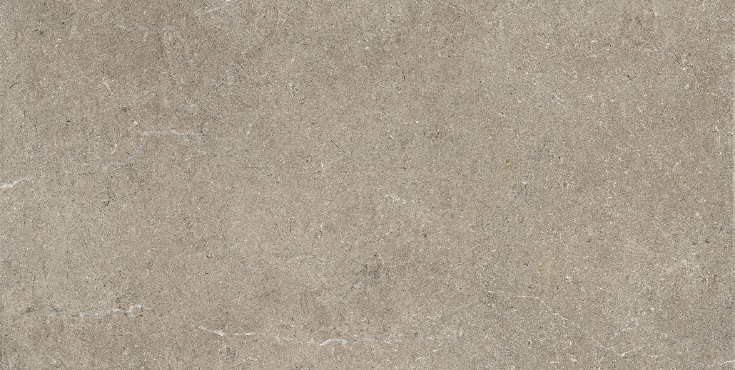 Terrassenplatte Baska Taupe 45x90 cm Nahaufnahme